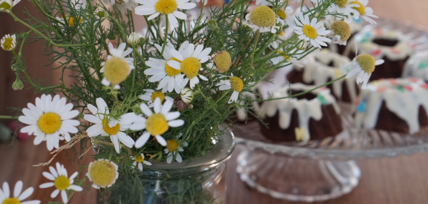 Okraski za zabave, ki jih lahko naredite sami – 6 preprostih idej za vsako zabavo